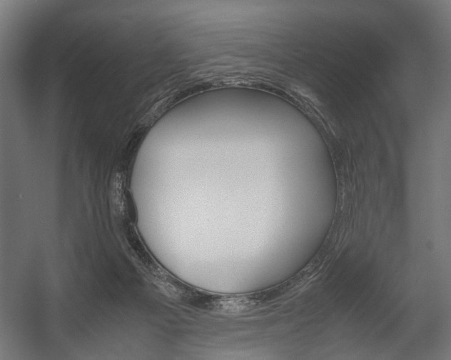 X0000058100121200509230804