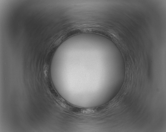 X0000058100125200509230804
