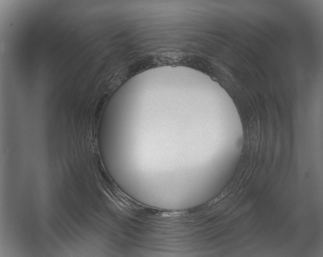 X0000058100134200509230804