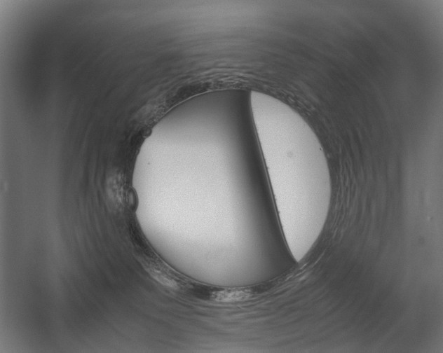 X0000058100135200509230804