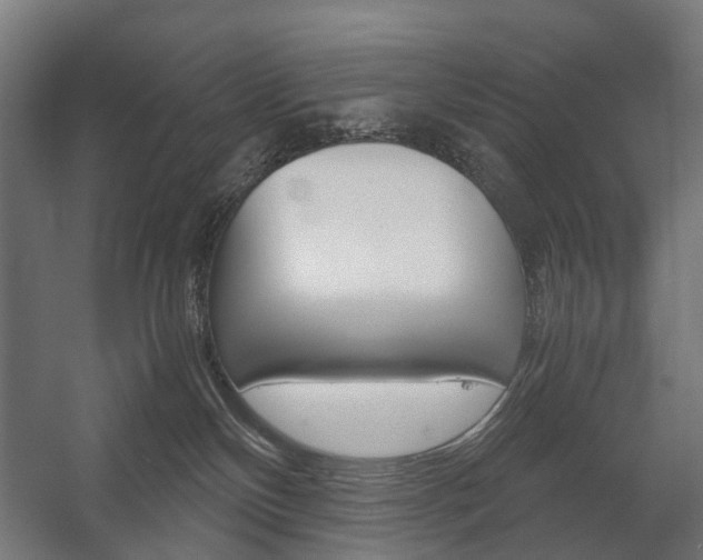 X0000058100136200509230804