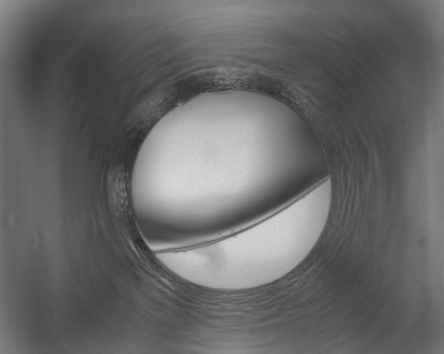 X0000058100137200509230804