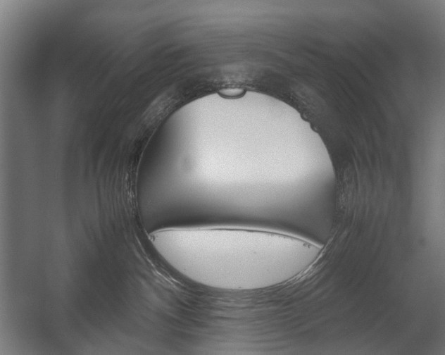 X0000058100140200509230804