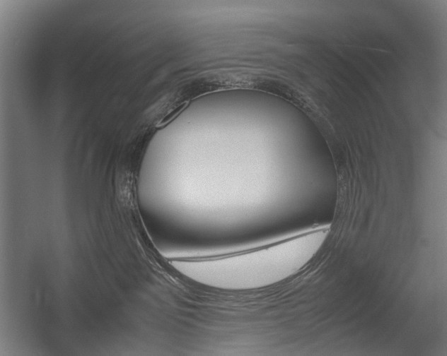 X0000058100141200509230804