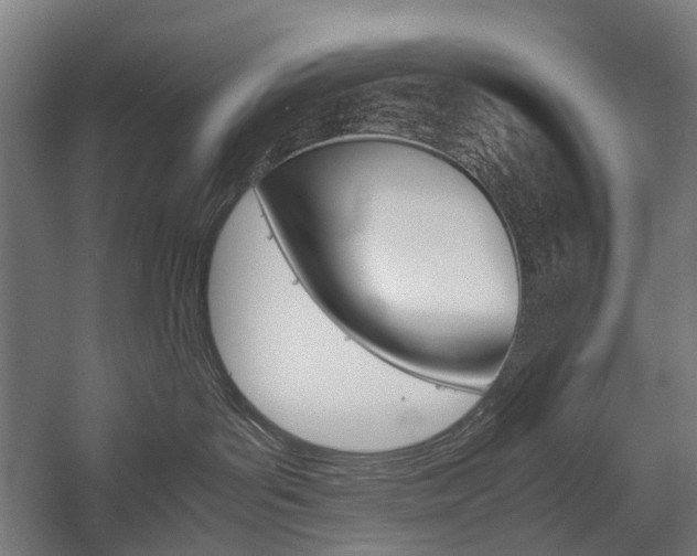 X0000058100143200509230804