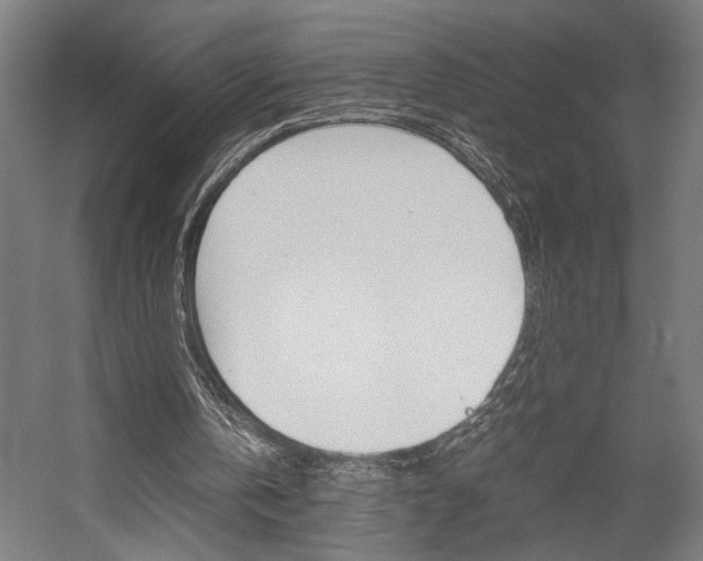 X0000058100146200509230803