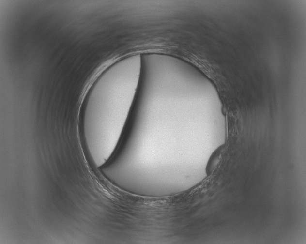 X0000058100147200509230803