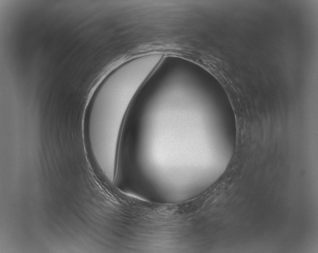 X0000058100148200509230803