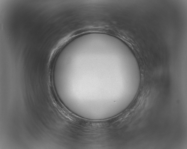 X0000058100149200509230803