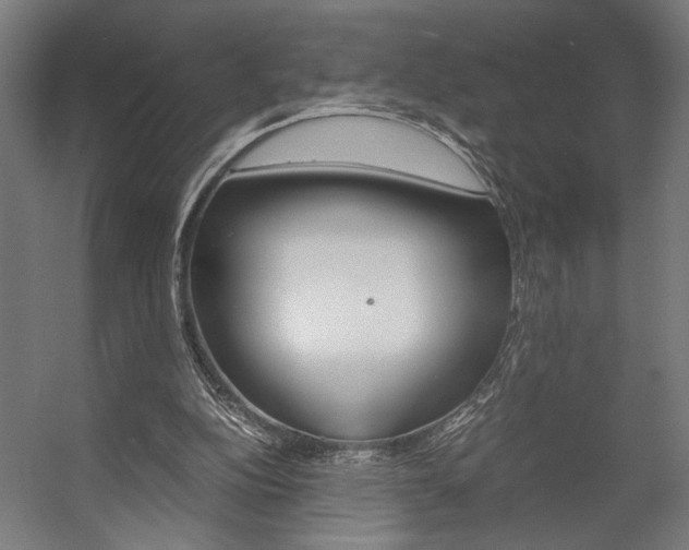 X0000058100152200509230803