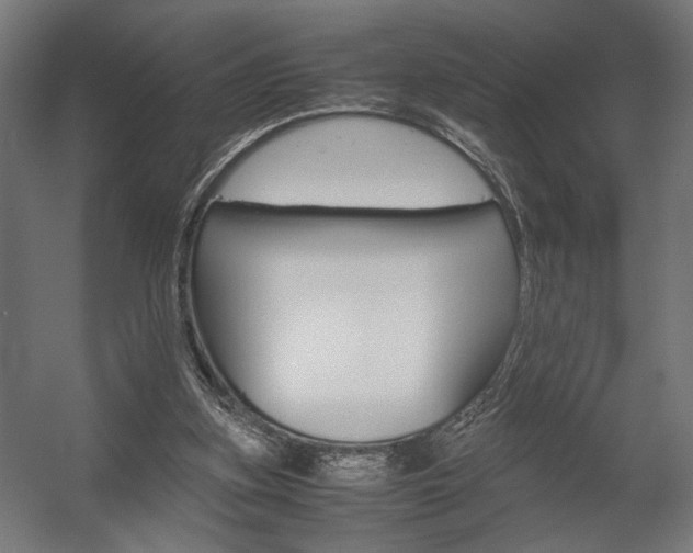 X0000058100155200509230803