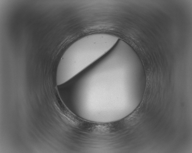 X0000058100166200509230803