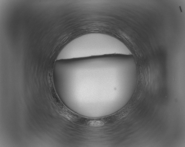 X0000058100169200509230803