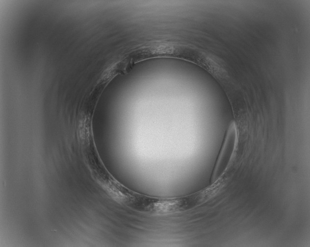 X0000058100172200509230803