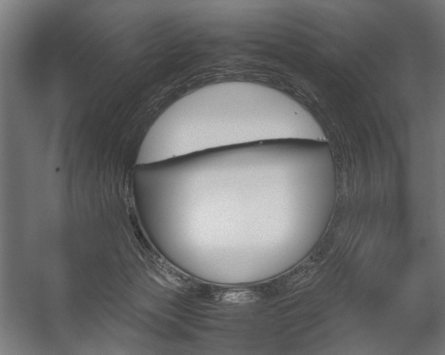 X0000058100173200509230803
