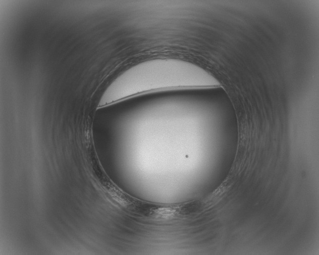 X0000058100176200509230803