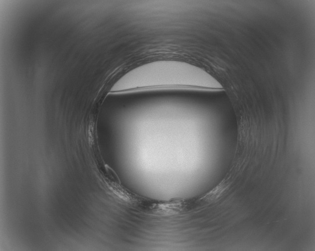 X0000058100188200509230804