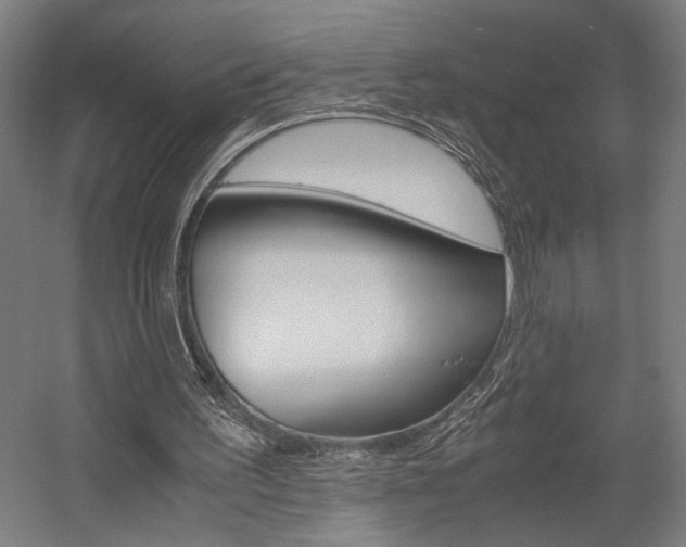 X0000058100195200509230803