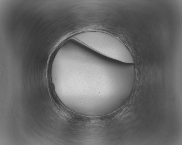 X0000058100196200509230803