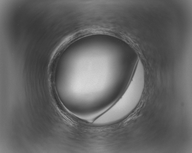 X0000058100197200509230803