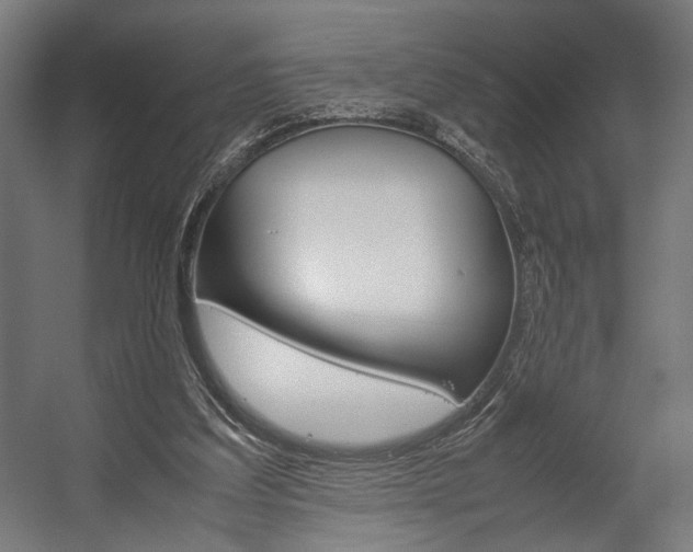 X0000058100203200509230803