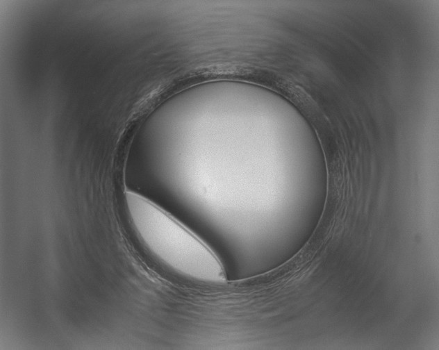 X0000058100207200509230803