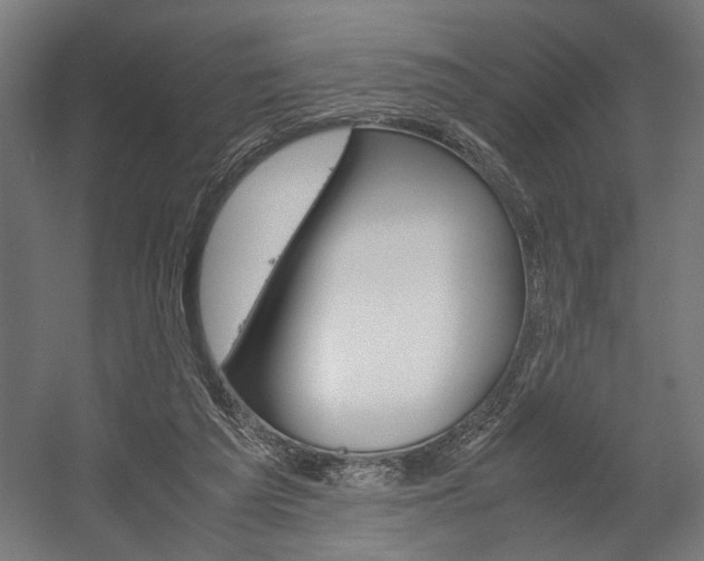X0000058100209200509230803