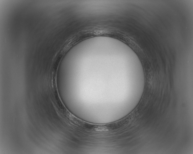 X0000058100214200509230802