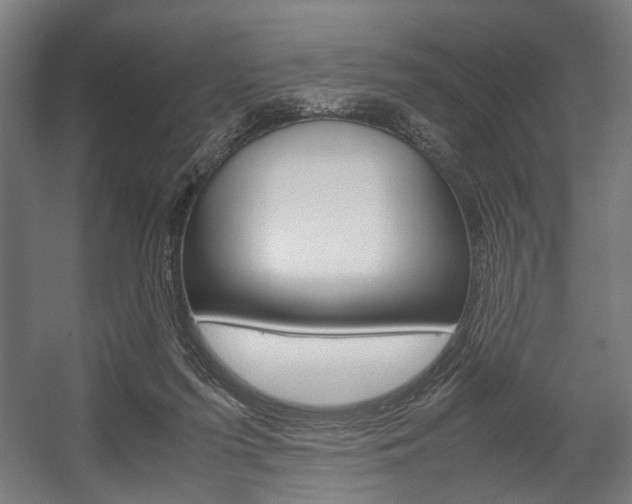 X0000058100215200509230802