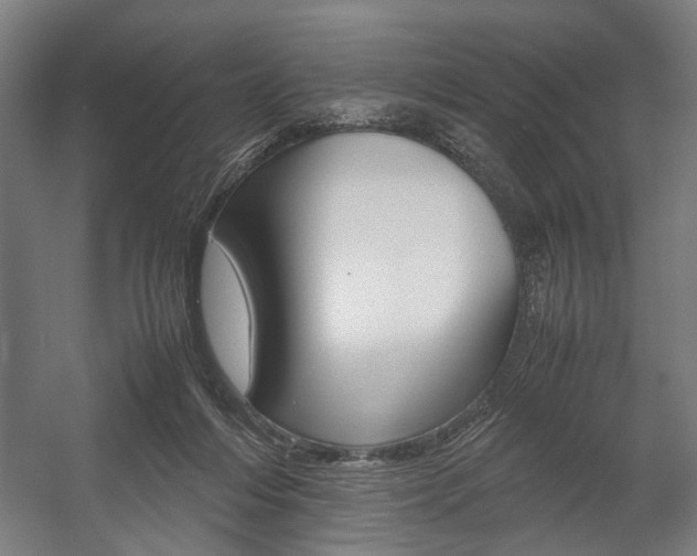 X0000058100216200509230802