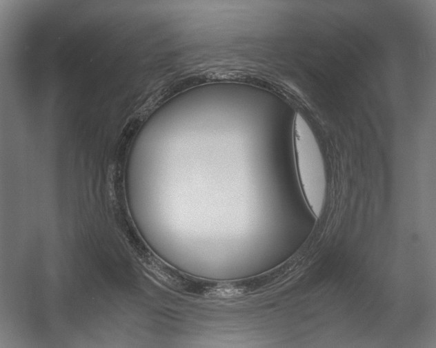 X0000058100217200509230802