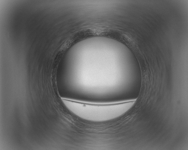 X0000058100221200509230802