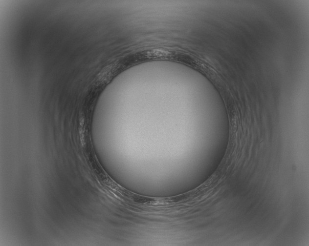 X0000058100223200509230802