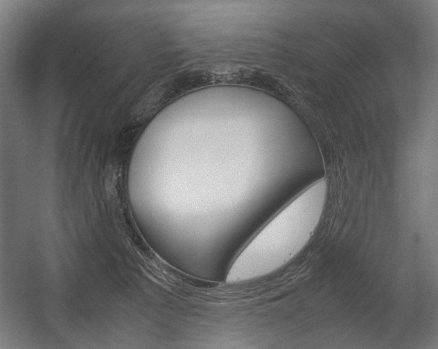 X0000058100225200509230802