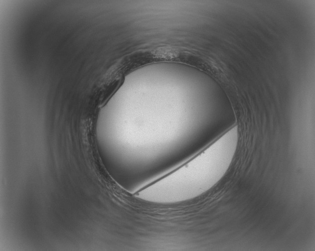 X0000058100229200509230802