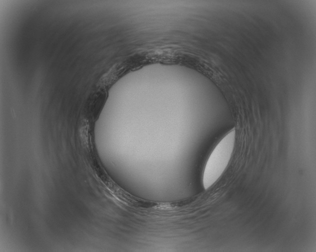 X0000058100231200509230802
