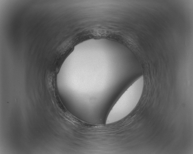 X0000058100233200509230802