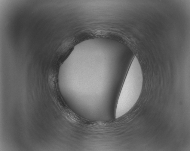 X0000058100235200509230802