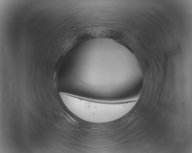 X0000058100239200509230802