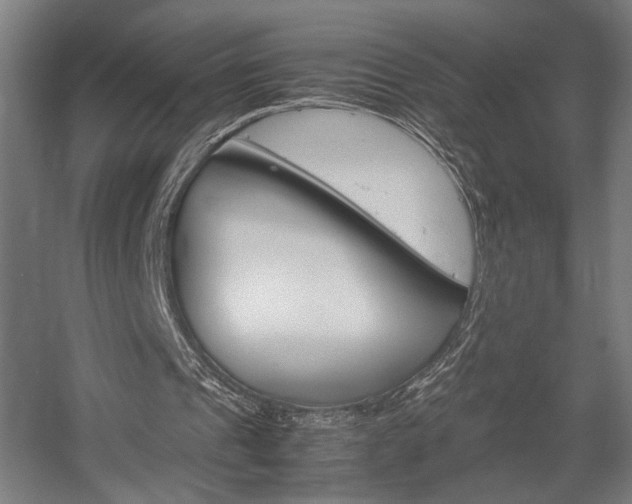 X0000058100241200509230801