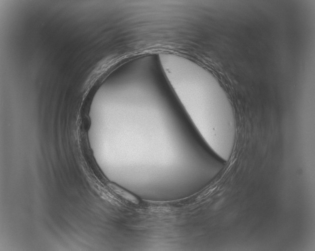 X0000058100242200509230801