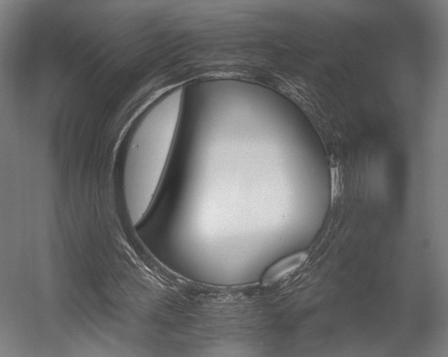 X0000058100243200509230801