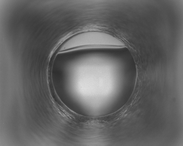 X0000058100244200509230801