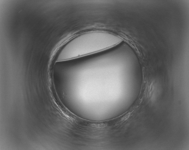 X0000058100245200509230801