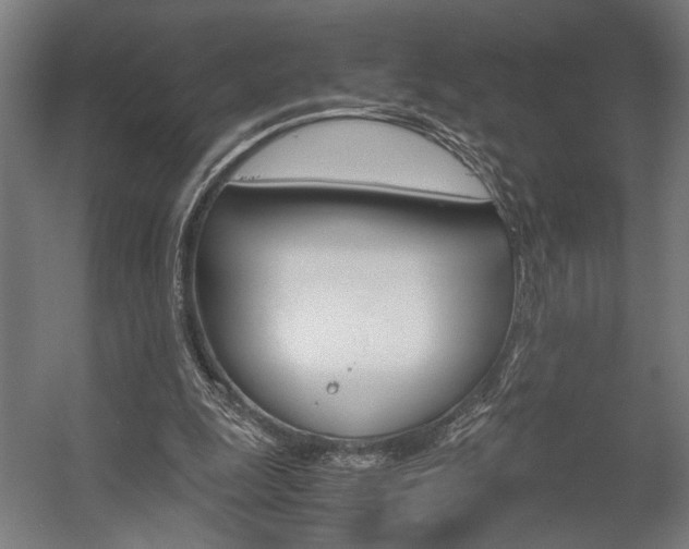 X0000058100247200509230801