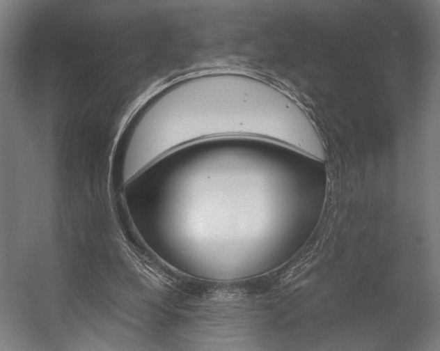 X0000058100248200509230801