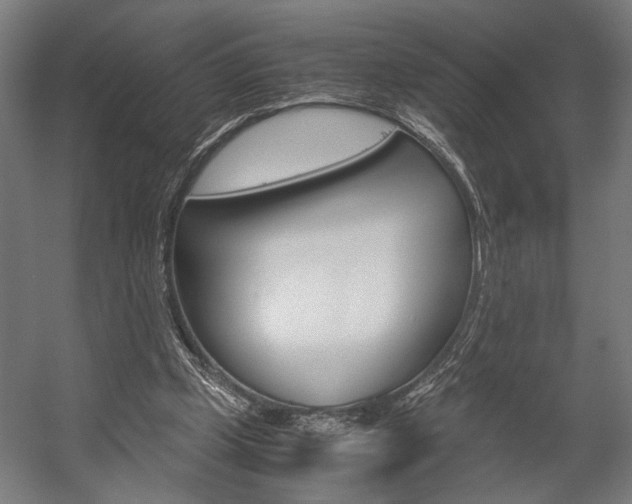 X0000058100249200509230801