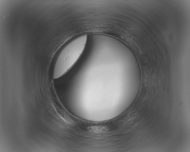 X0000058100251200509230801