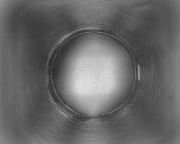 X0000058100252200509230801