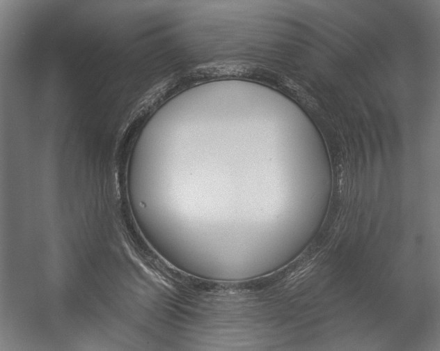 X0000058100254200509230801